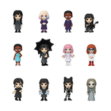 Wednesday Mystery Mini Sealed Blind Box