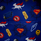 DC Supergirl Krypto Loungefly Mini Backpack