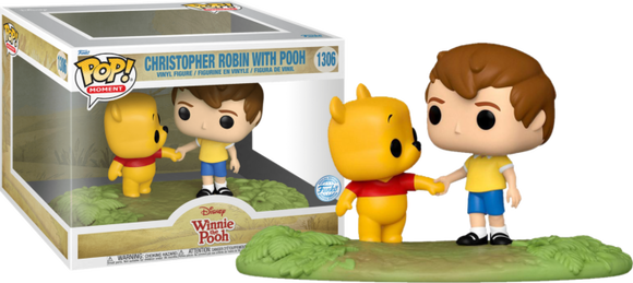 Disney Winnie The Pooh Christopher Robin with Pooh Funko Pop #1306