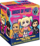 Birds of Prey Mystery Mini Sealed Blind Box